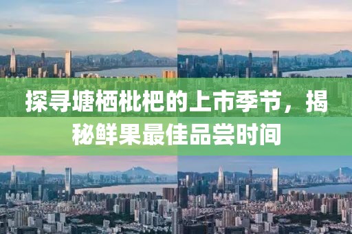 探寻塘栖枇杷的上市季节，揭秘鲜果最佳品尝时间