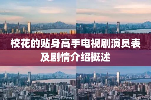 校花的贴身高手电视剧演员表及剧情介绍概述