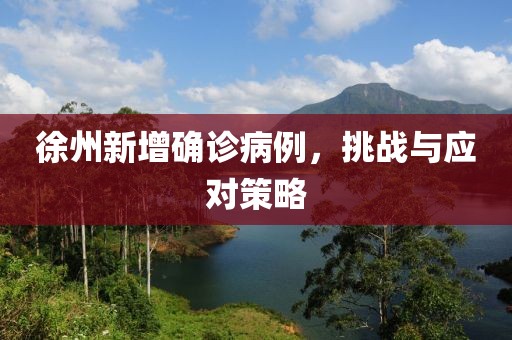 徐州新增确诊病例，挑战与应对策略