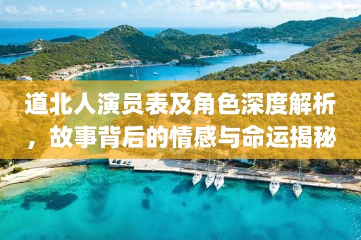 道北人演员表及角色深度解析，故事背后的情感与命运揭秘