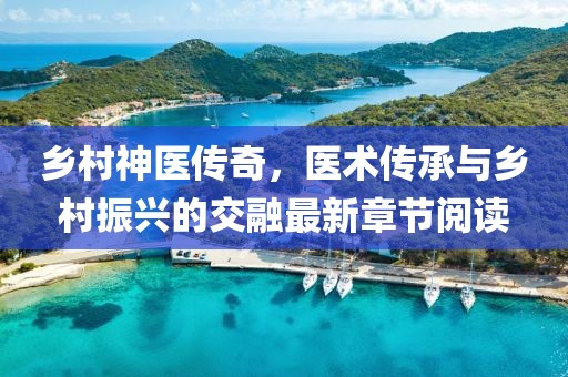 乡村神医传奇，医术传承与乡村振兴的交融最新章节阅读