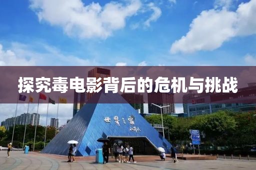 探究毒电影背后的危机与挑战