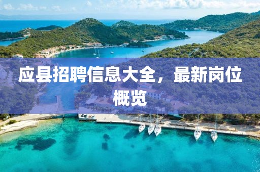 应县招聘信息大全，最新岗位概览