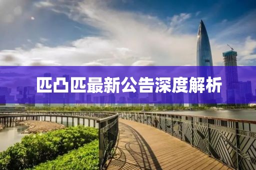 匹凸匹最新公告深度解析