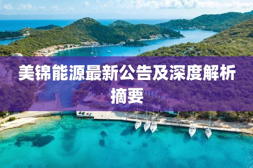 美锦能源最新公告及深度解析摘要