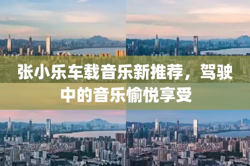 张小乐车载音乐新推荐，驾驶中的音乐愉悦享受