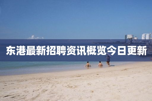 东港最新招聘资讯概览今日更新