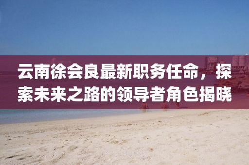 云南徐会良最新职务任命，探索未来之路的领导者角色揭晓