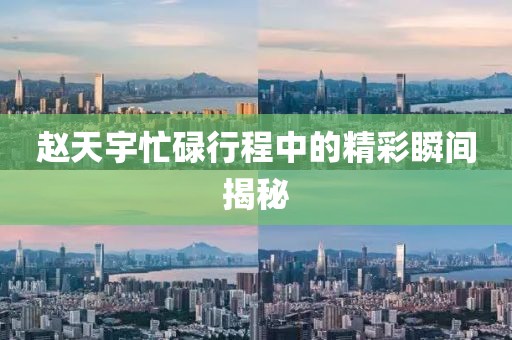 赵天宇忙碌行程中的精彩瞬间揭秘