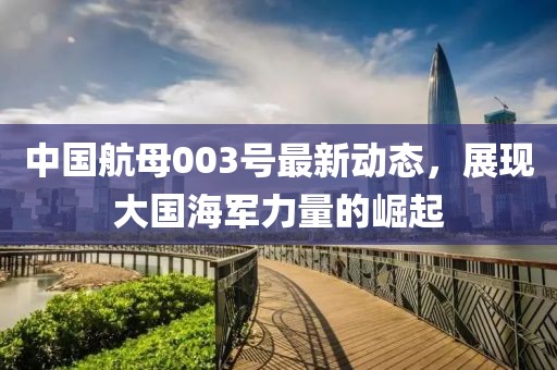 中国航母003号最新动态，展现大国海军力量的崛起