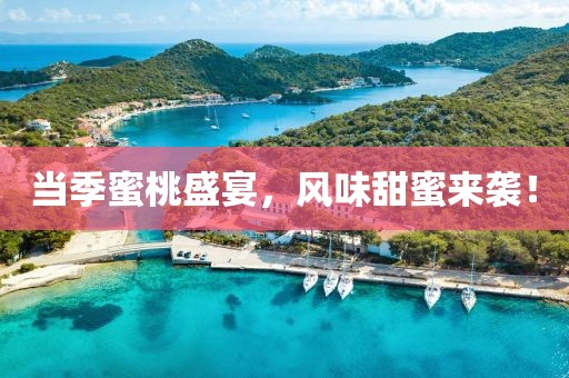 当季蜜桃盛宴，风味甜蜜来袭！