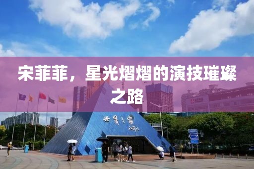 宋菲菲，星光熠熠的演技璀璨之路