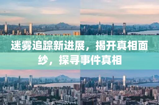 迷雾追踪新进展，揭开真相面纱，探寻事件真相