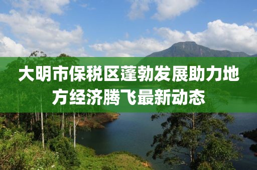 大明市保税区蓬勃发展助力地方经济腾飞最新动态