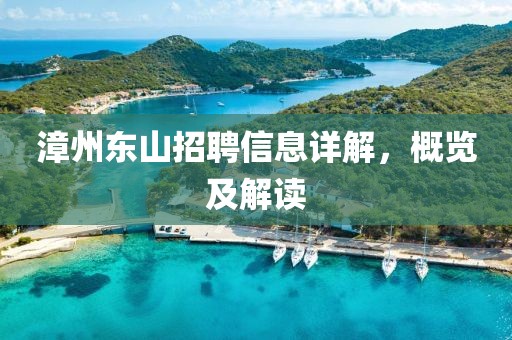漳州东山招聘信息详解，概览及解读