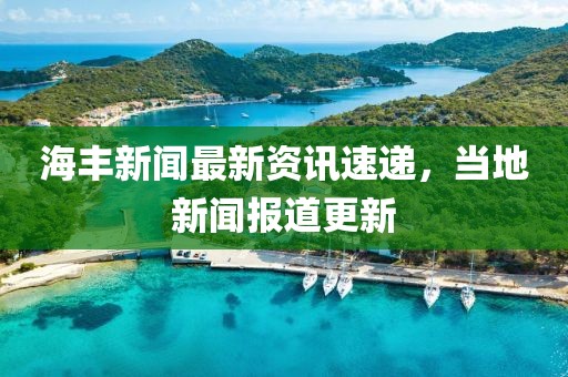 海丰新闻最新资讯速递，当地新闻报道更新