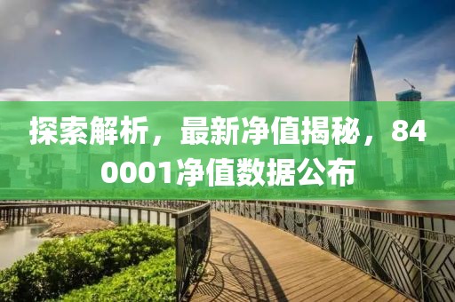 探索解析，最新净值揭秘，840001净值数据公布