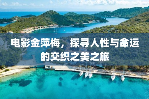 电影金萍梅，探寻人性与命运的交织之美之旅