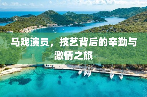 马戏演员，技艺背后的辛勤与激情之旅