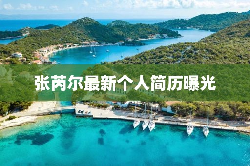 张芮尔最新个人简历曝光