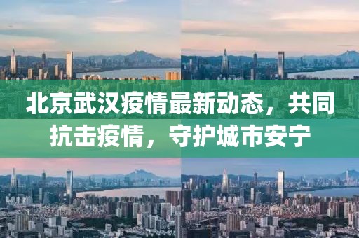北京武汉疫情最新动态，共同抗击疫情，守护城市安宁