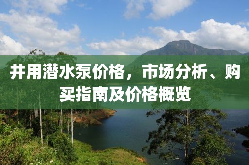 井用潜水泵价格，市场分析、购买指南及价格概览