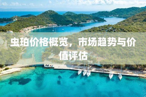 虫珀价格概览，市场趋势与价值评估