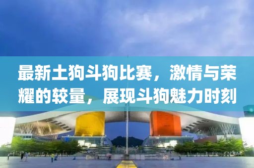 最新土狗斗狗比赛，激情与荣耀的较量，展现斗狗魅力时刻