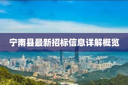 宁南县最新招标信息详解概览