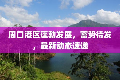 周口港区蓬勃发展，蓄势待发，最新动态速递