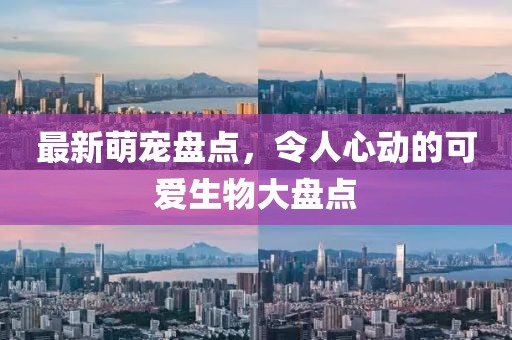 最新萌宠盘点，令人心动的可爱生物大盘点