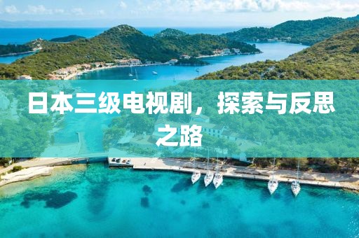 日本三级电视剧，探索与反思之路