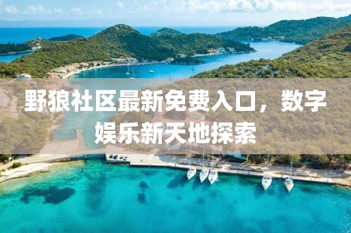 野狼社区最新免费入口，数字娱乐新天地探索