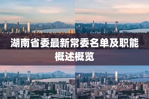 湖南省委最新常委名单及职能概述概览