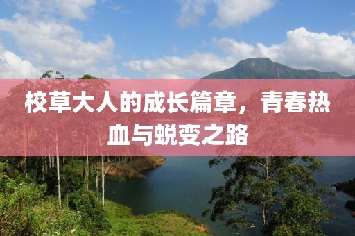 校草大人的成长篇章，青春热血与蜕变之路