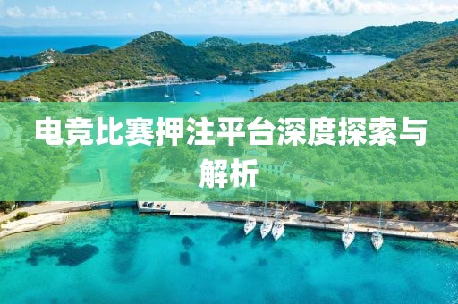 电竞比赛押注平台深度探索与解析