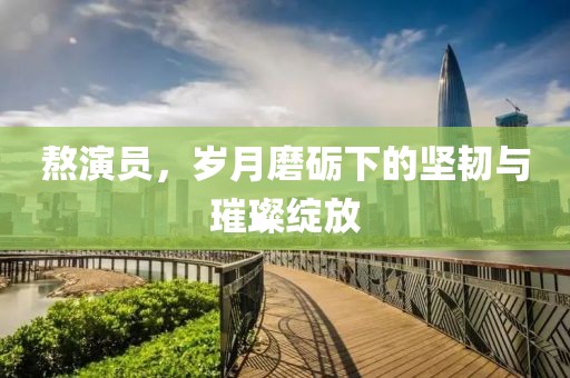 熬演员，岁月磨砺下的坚韧与璀璨绽放