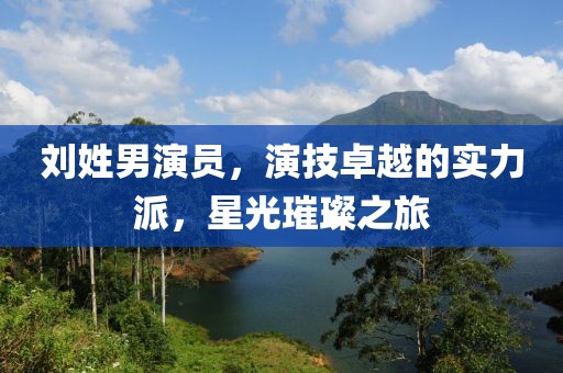 刘姓男演员，演技卓越的实力派，星光璀璨之旅