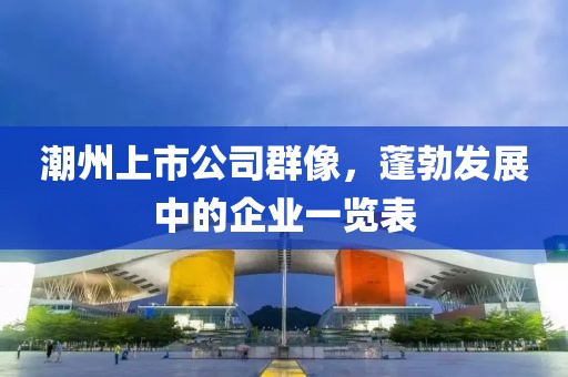 潮州上市公司群像，蓬勃发展中的企业一览表