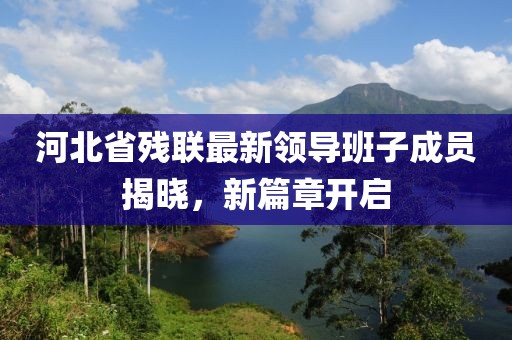 河北省残联最新领导班子成员揭晓，新篇章开启
