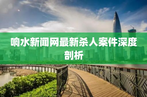 响水新闻网最新杀人案件深度剖析