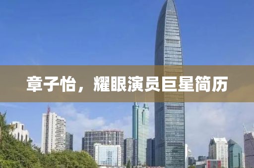 章子怡，耀眼演员巨星简历