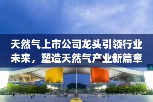 天然气上市公司龙头引领行业未来，塑造天然气产业新篇章