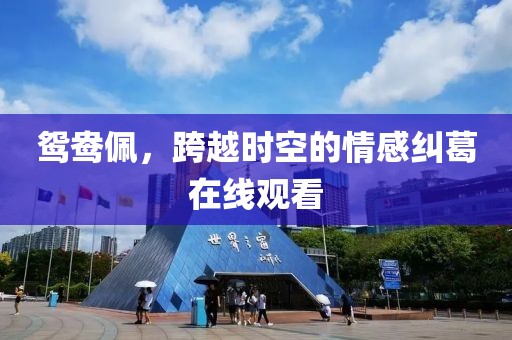 鸳鸯佩，跨越时空的情感纠葛在线观看