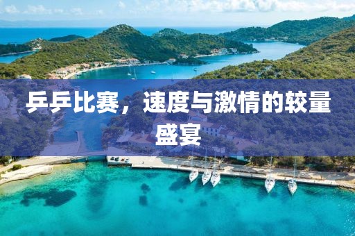 乒乒比赛，速度与激情的较量盛宴
