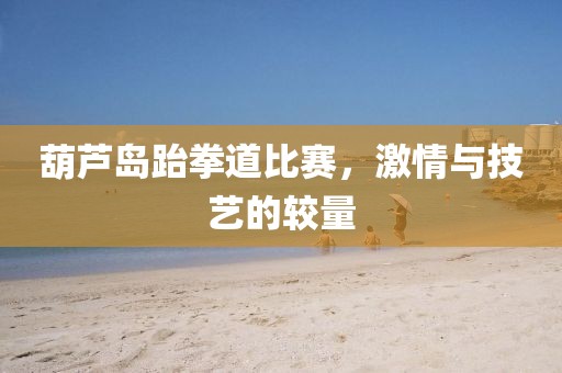 葫芦岛跆拳道比赛，激情与技艺的较量