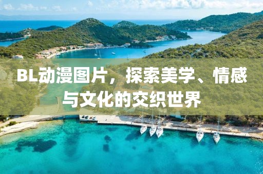 BL动漫图片，探索美学、情感与文化的交织世界