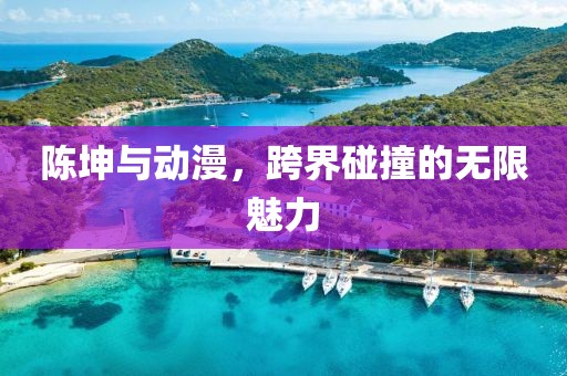 陈坤与动漫，跨界碰撞的无限魅力