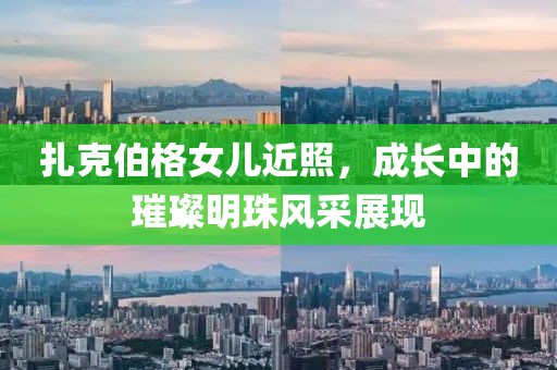 扎克伯格女儿近照，成长中的璀璨明珠风采展现