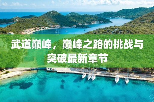 武道巅峰，巅峰之路的挑战与突破最新章节